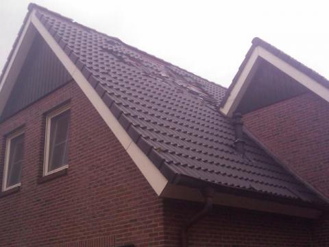 IMAG0286.jpg