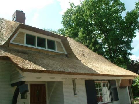 DSCF0253.jpg