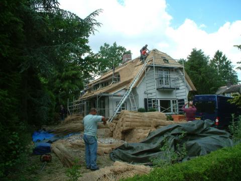 DSCF0183.jpg