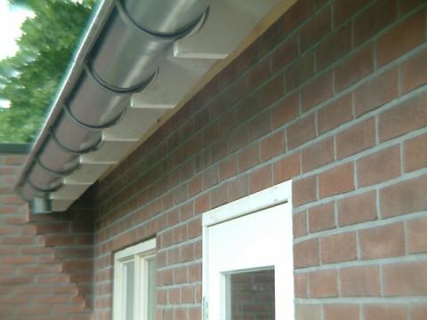 DSCF0255.jpg
